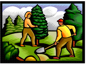 Tree planting