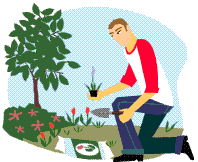 Tree planting