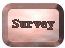 Survey